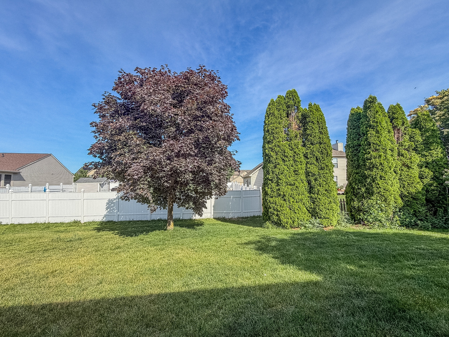 715 Sedgegrass Drive Property Photo 44