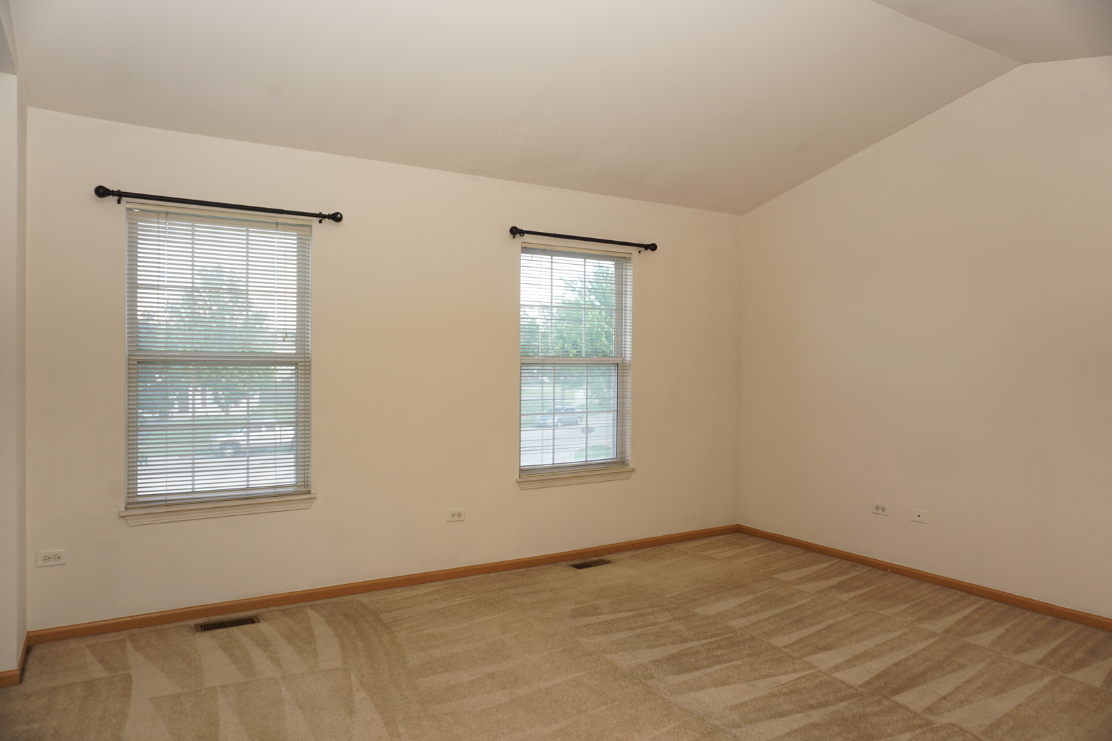 407 Waubonsee Drive Property Photo 22