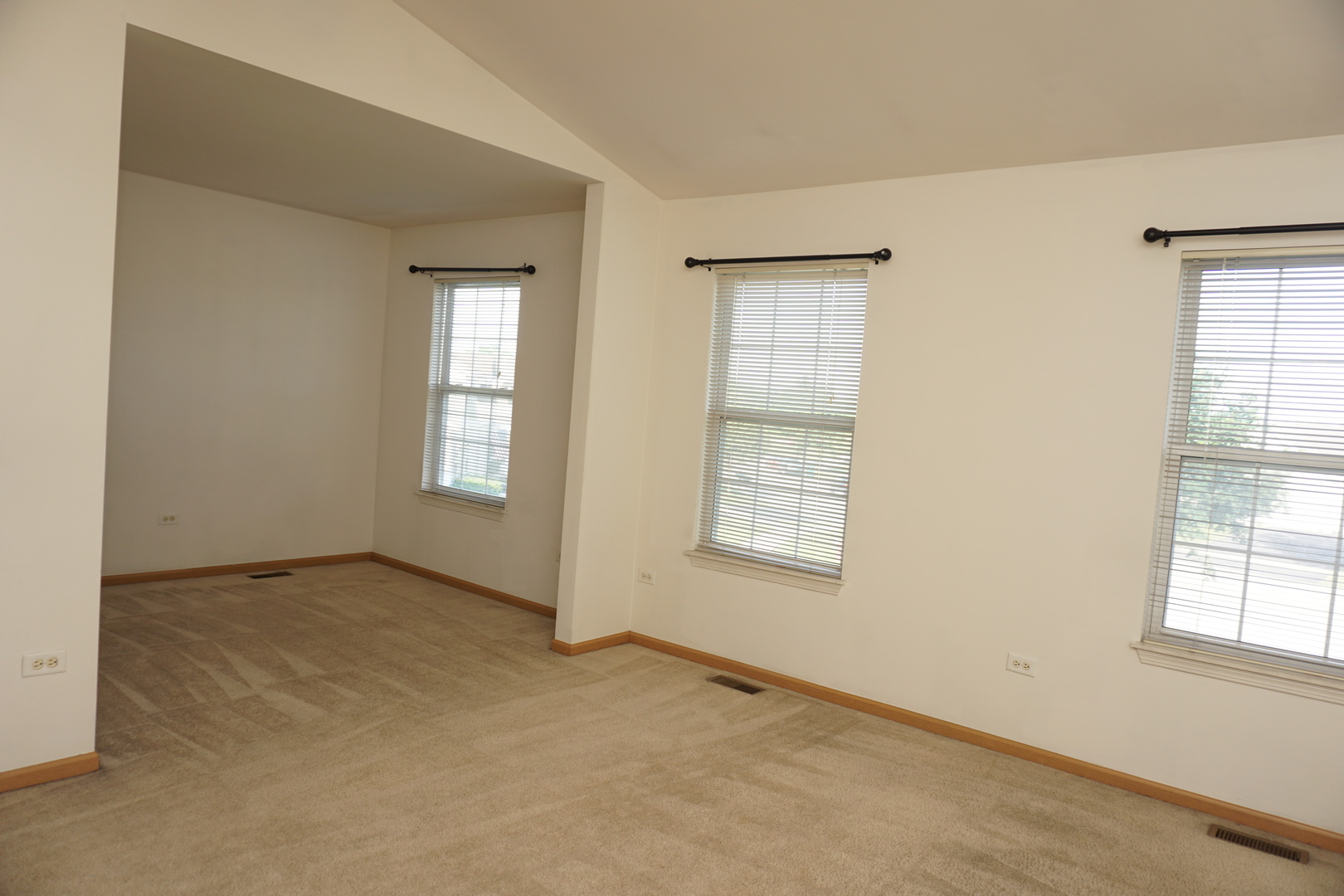 407 Waubonsee Drive Property Photo 29