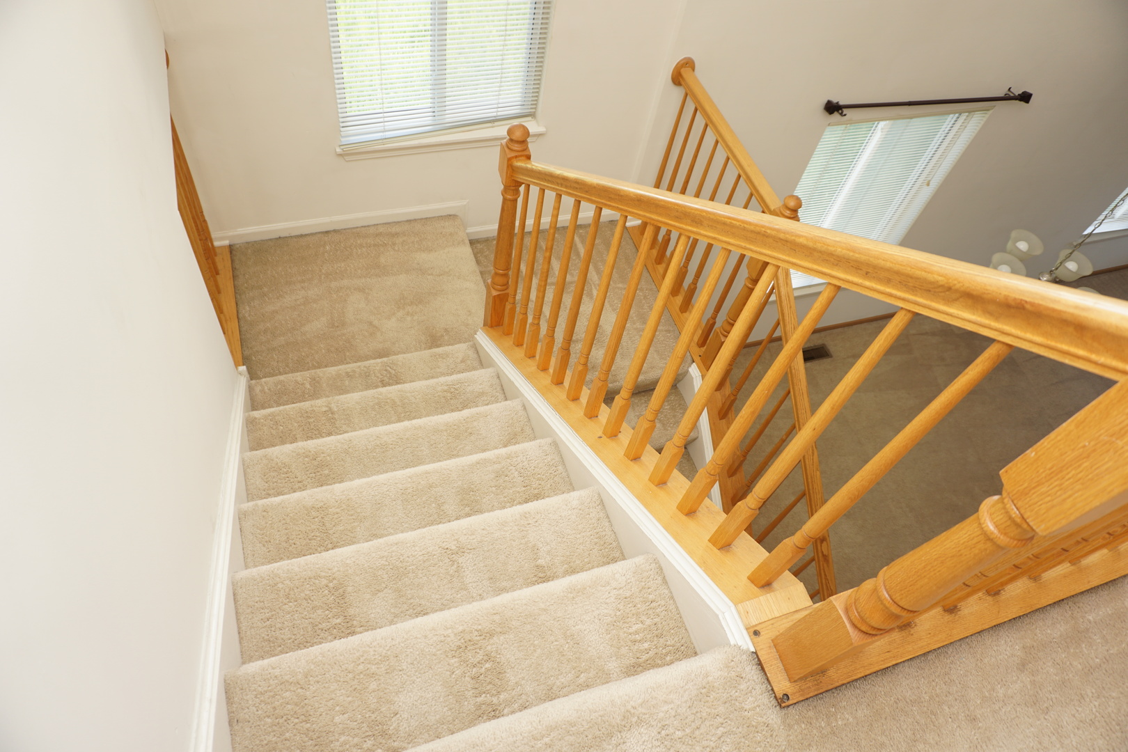 407 Waubonsee Drive Property Photo 30