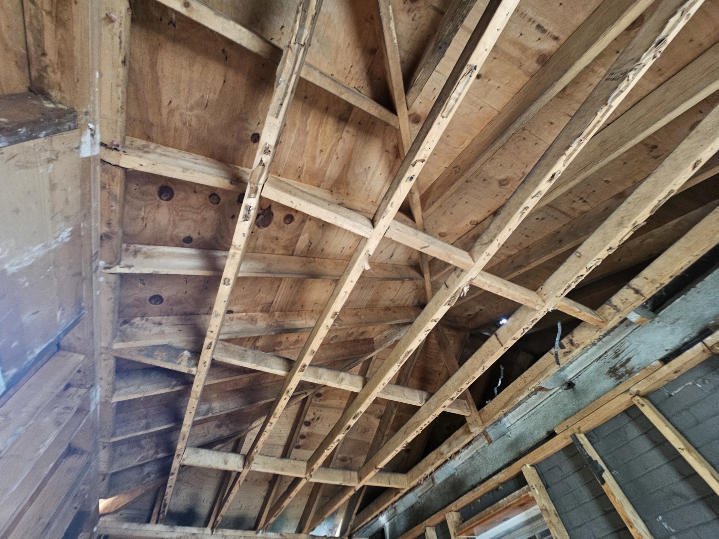 12 Webb Street Property Photo 11