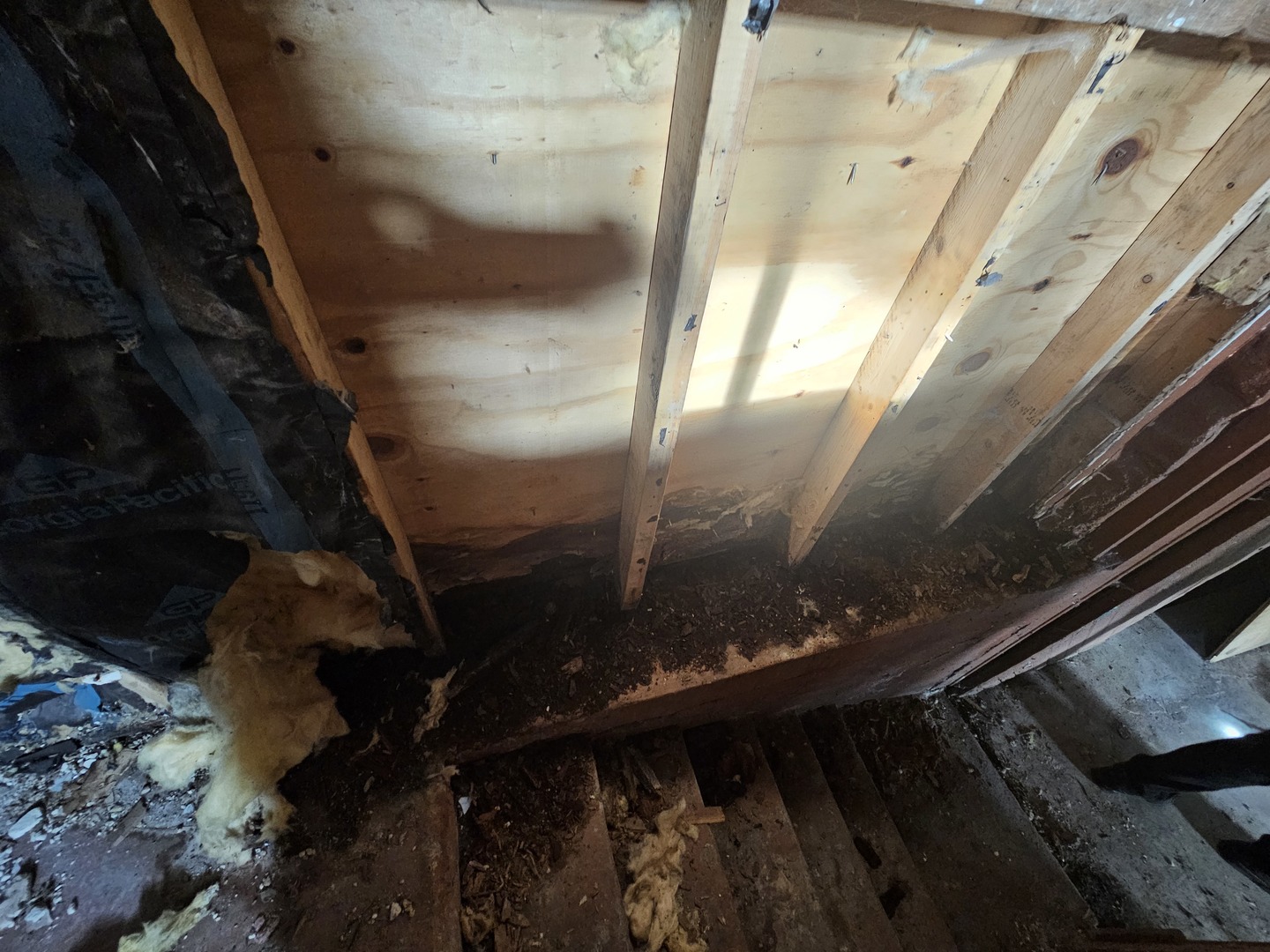 12 Webb Street Property Photo 12