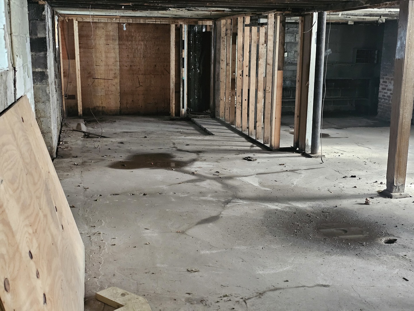 12 Webb Street Property Photo 15