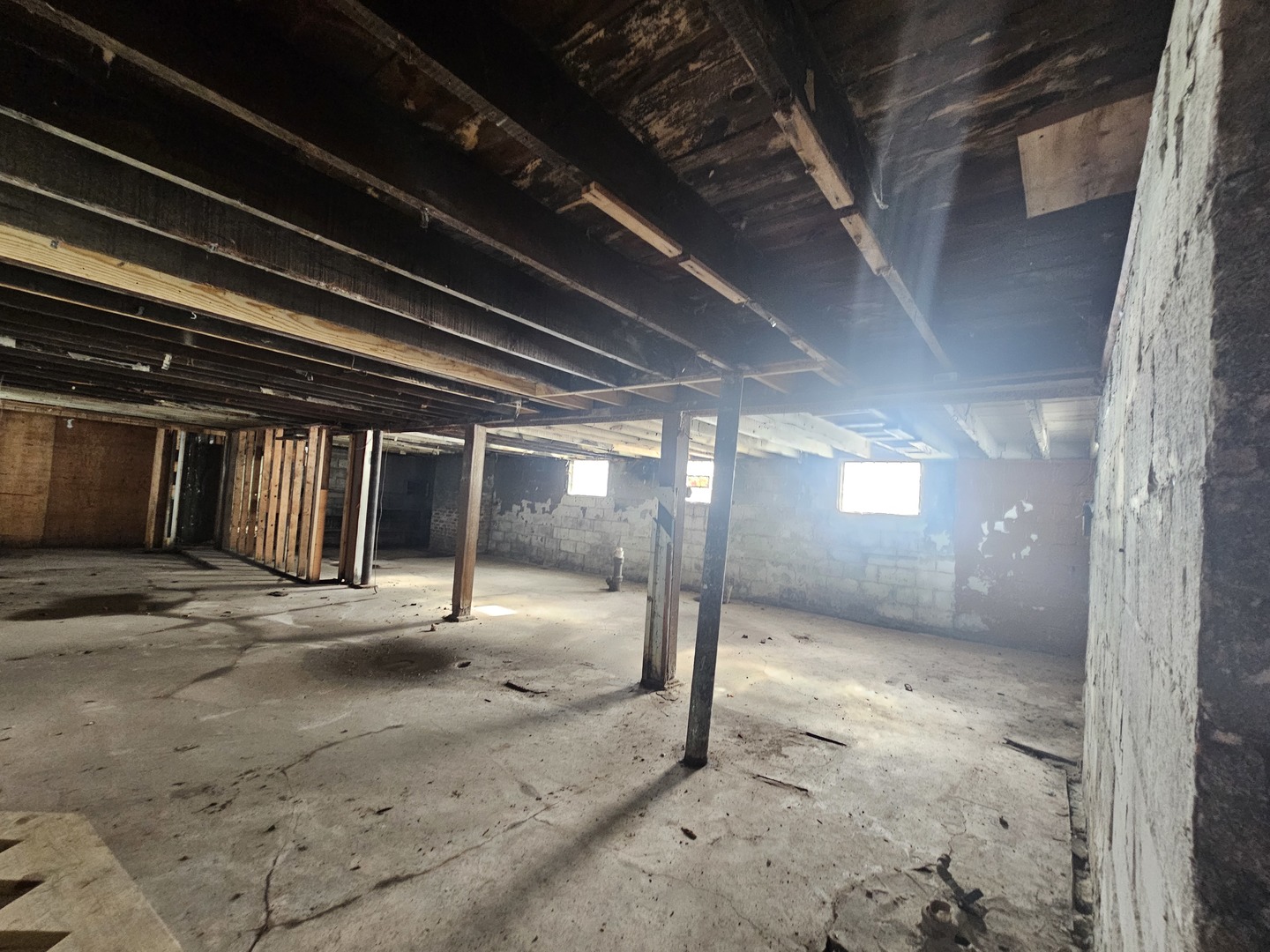 12 Webb Street Property Photo 17