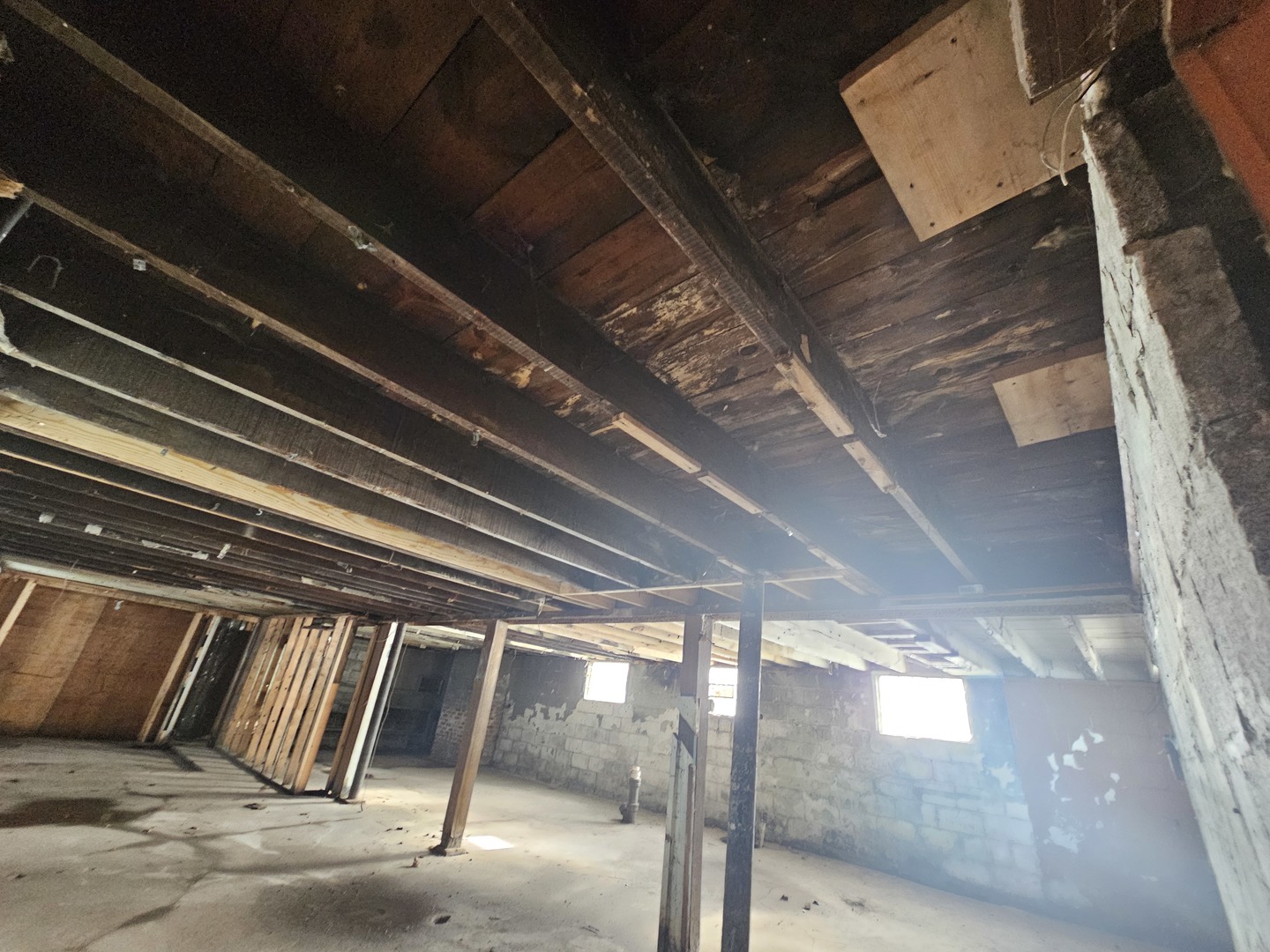 12 Webb Street Property Photo 18
