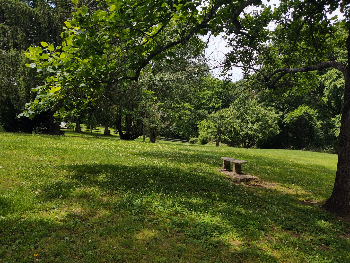 3895 State Route 147 Property Photo 4