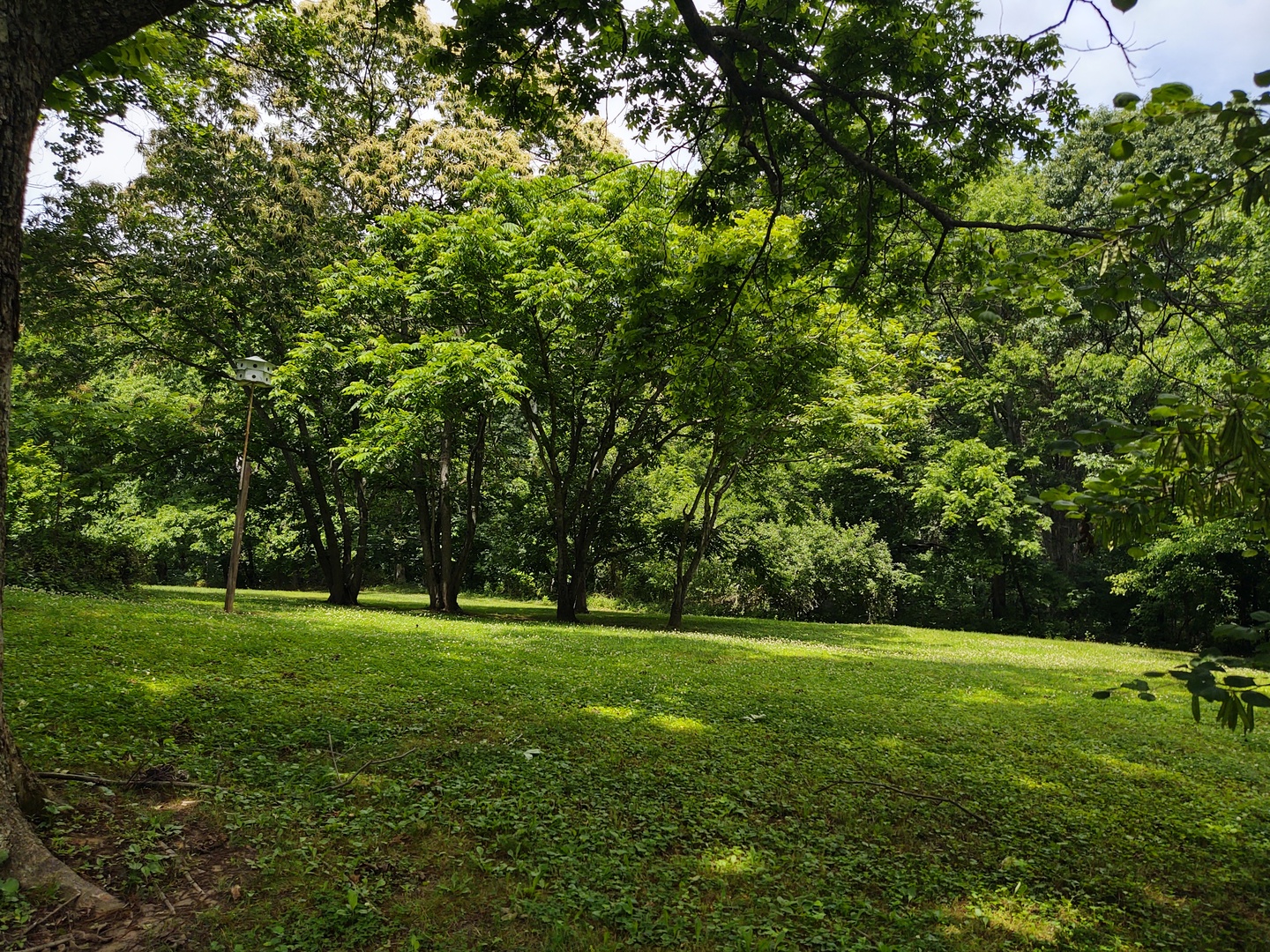 3895 State Route 147 Property Photo 5