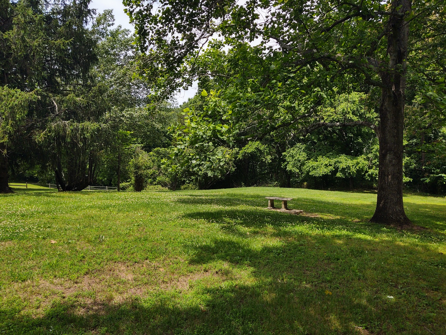 3895 State Route 147 Property Photo 6