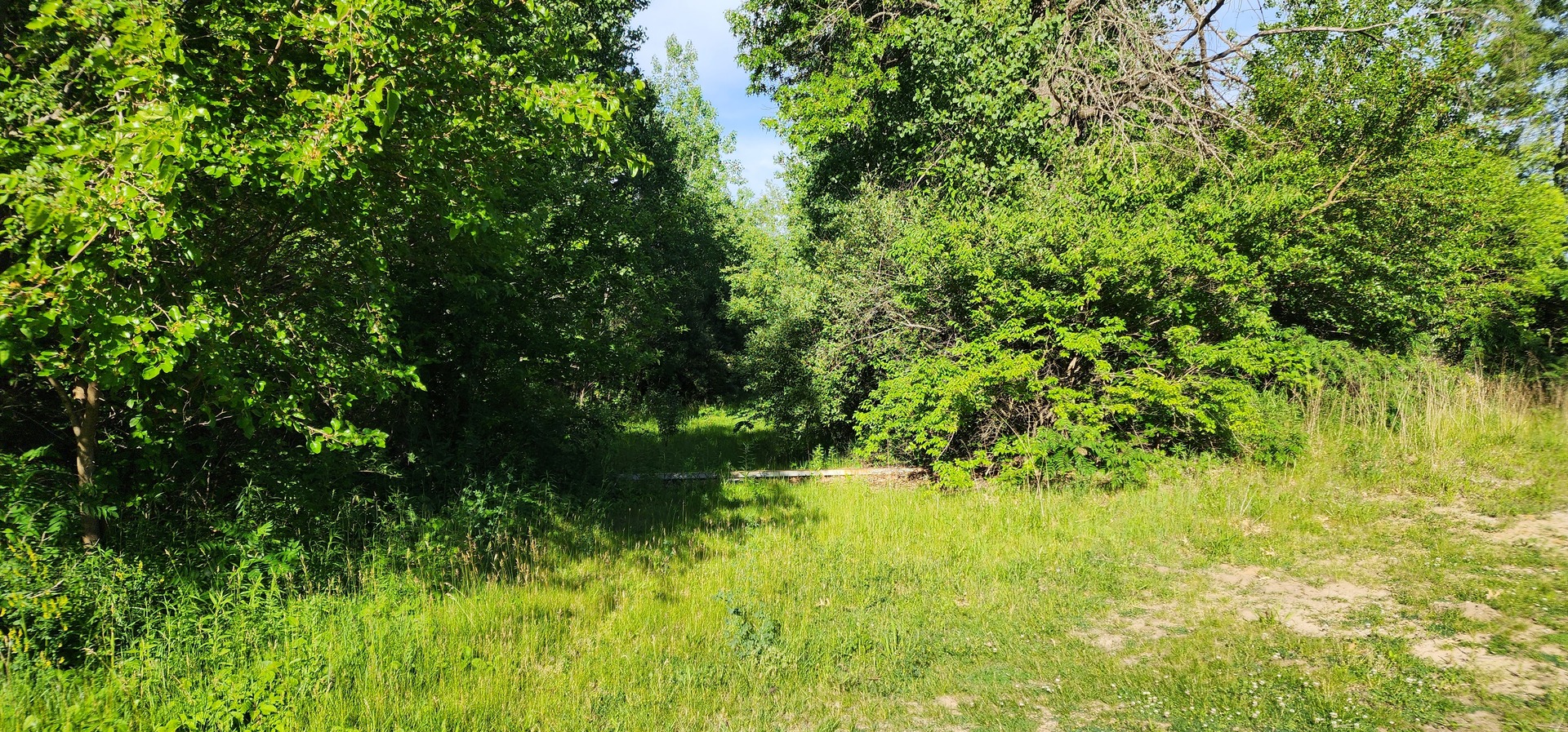 574 Caleb Road Property Photo 3