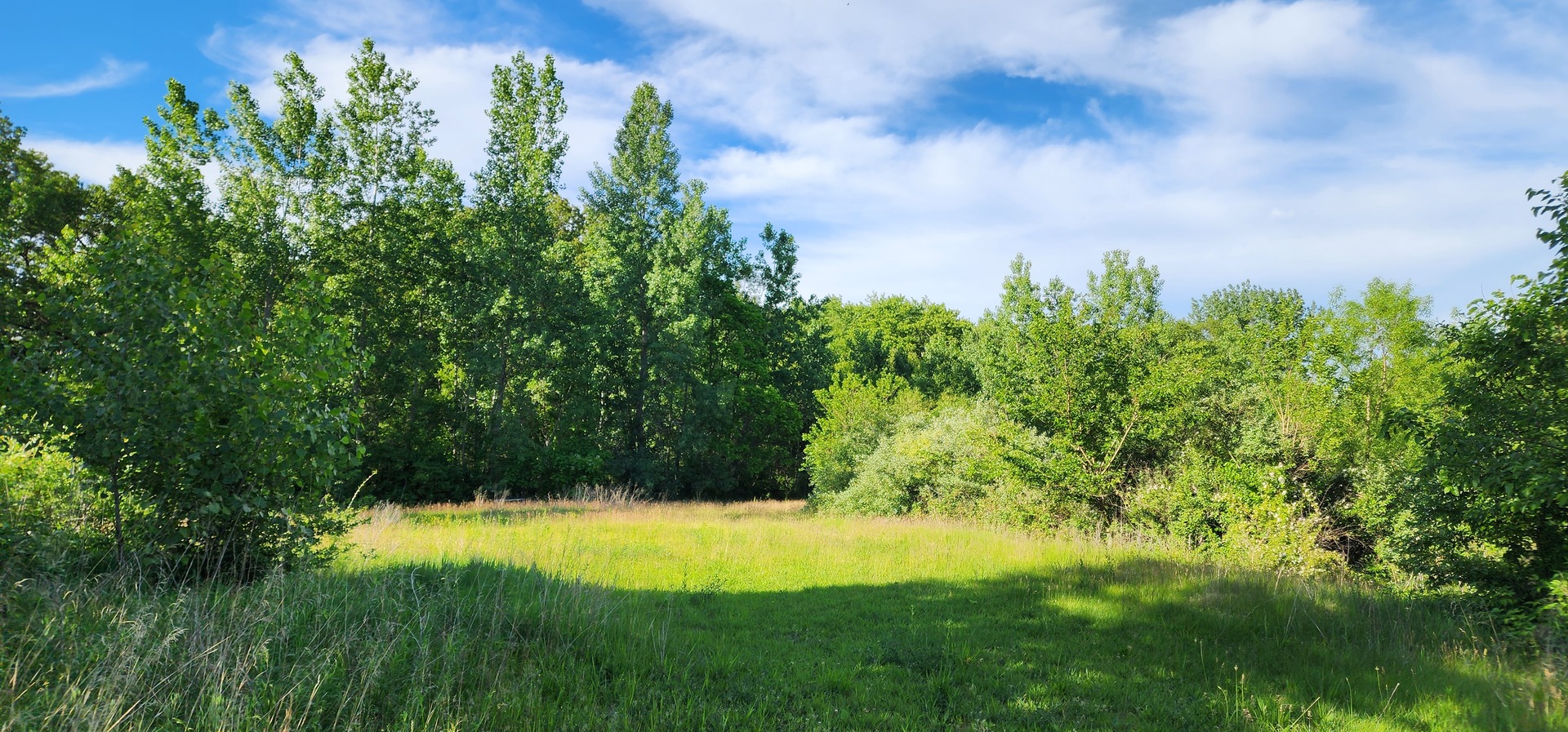 574 Caleb Road Property Photo 14