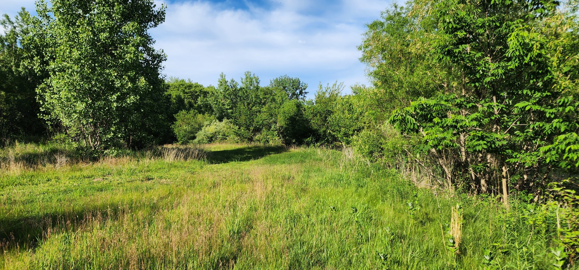 574 Caleb Road Property Photo 17