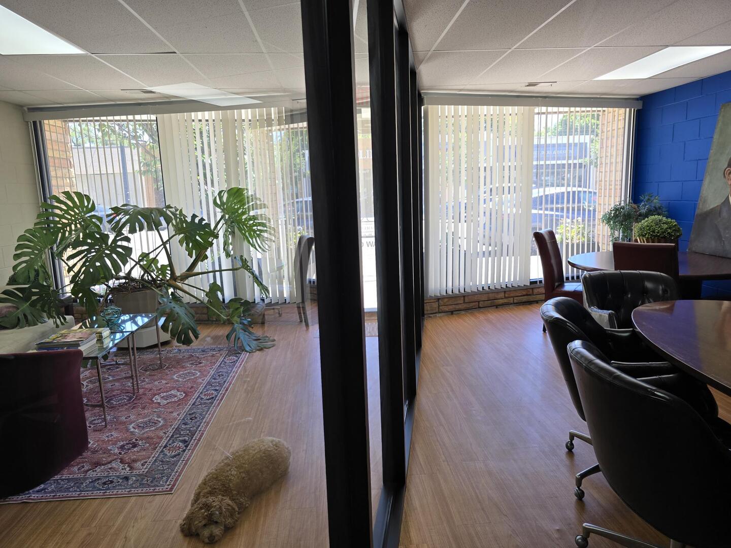 4448 Oakton Street Property Photo 11