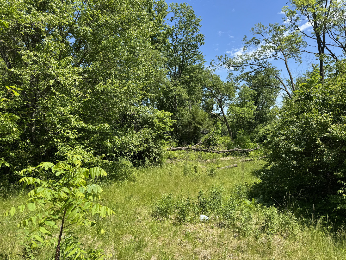 11679 N Il Route 2 Property Photo 1