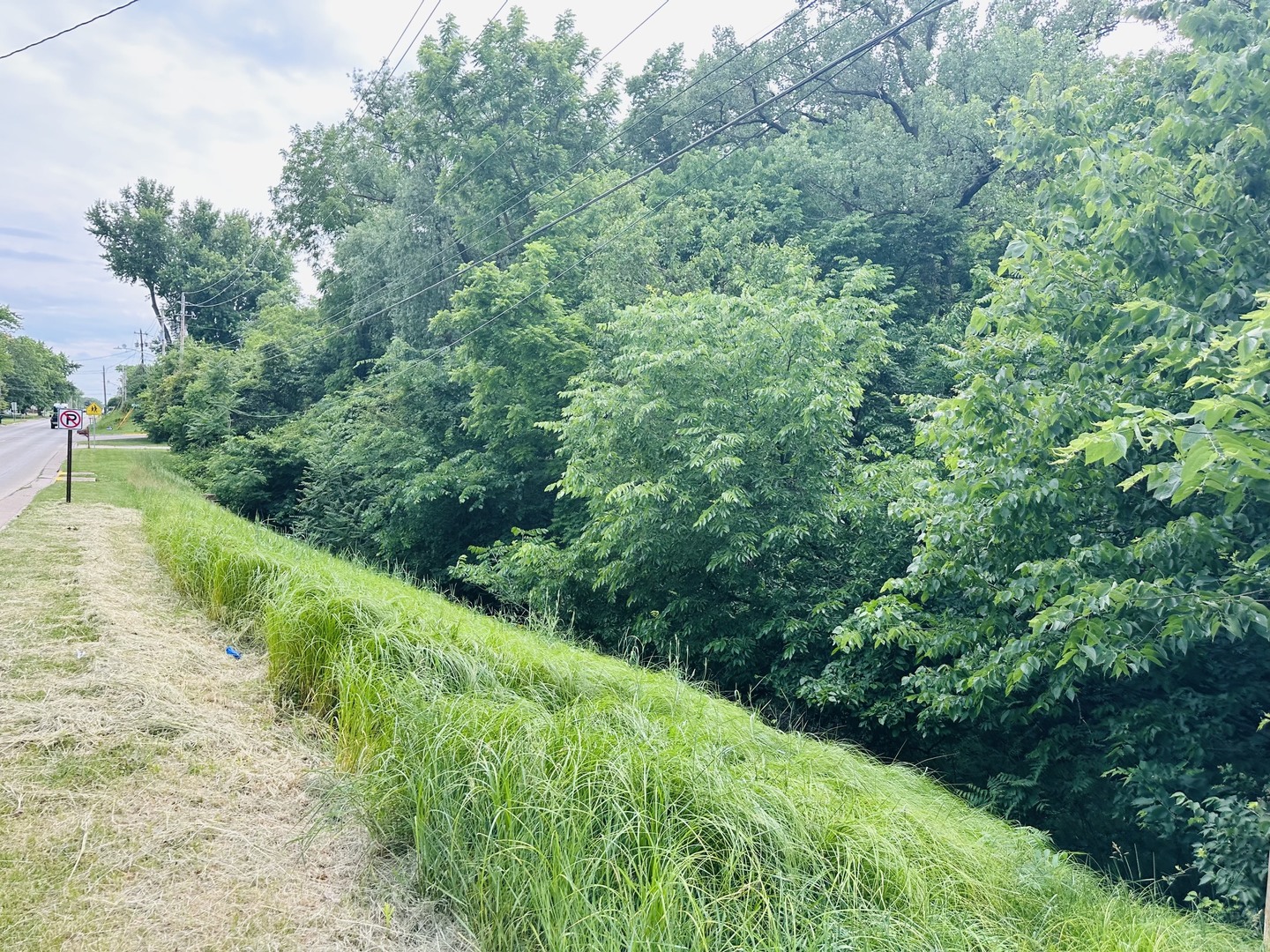 Lot 448 10th Street Property Photo 3