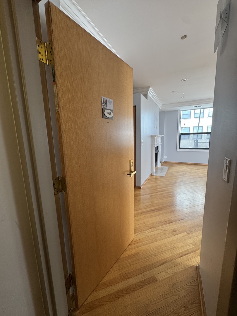910 S Michigan Avenue 1615 Property Photo 5