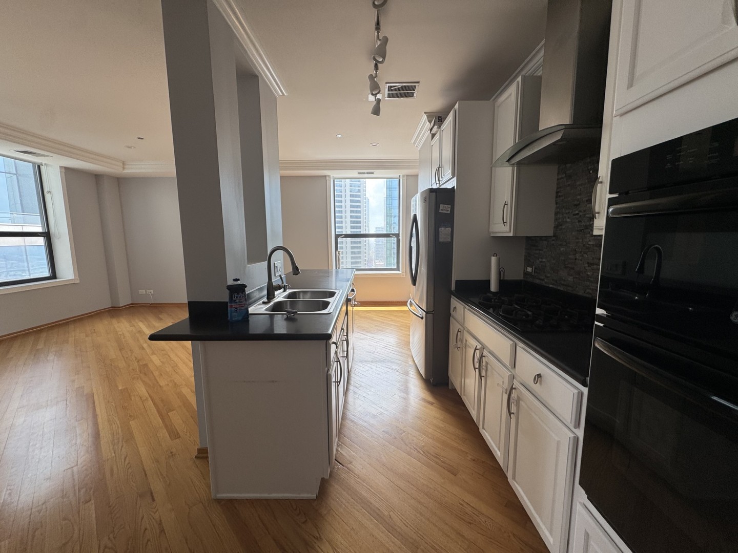 910 S Michigan Avenue 1615 Property Photo 6