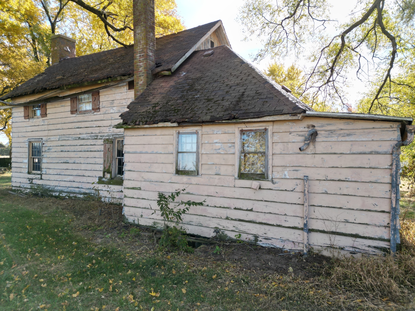12662839 Property Photo 4