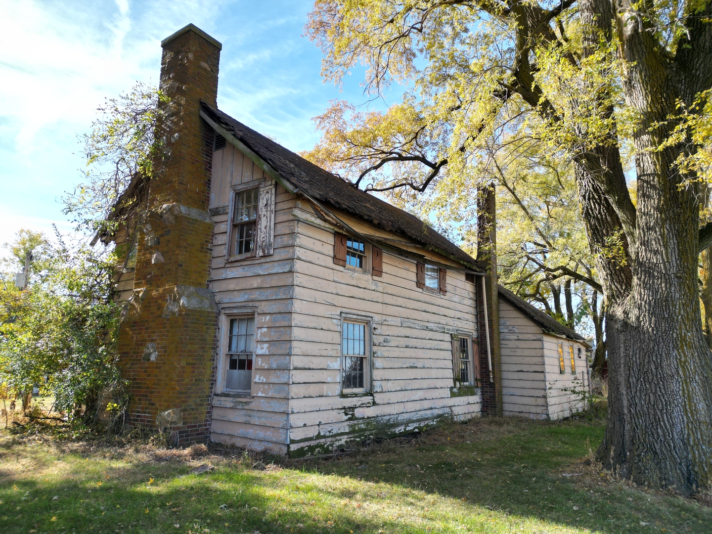 12662839 Property Photo 5
