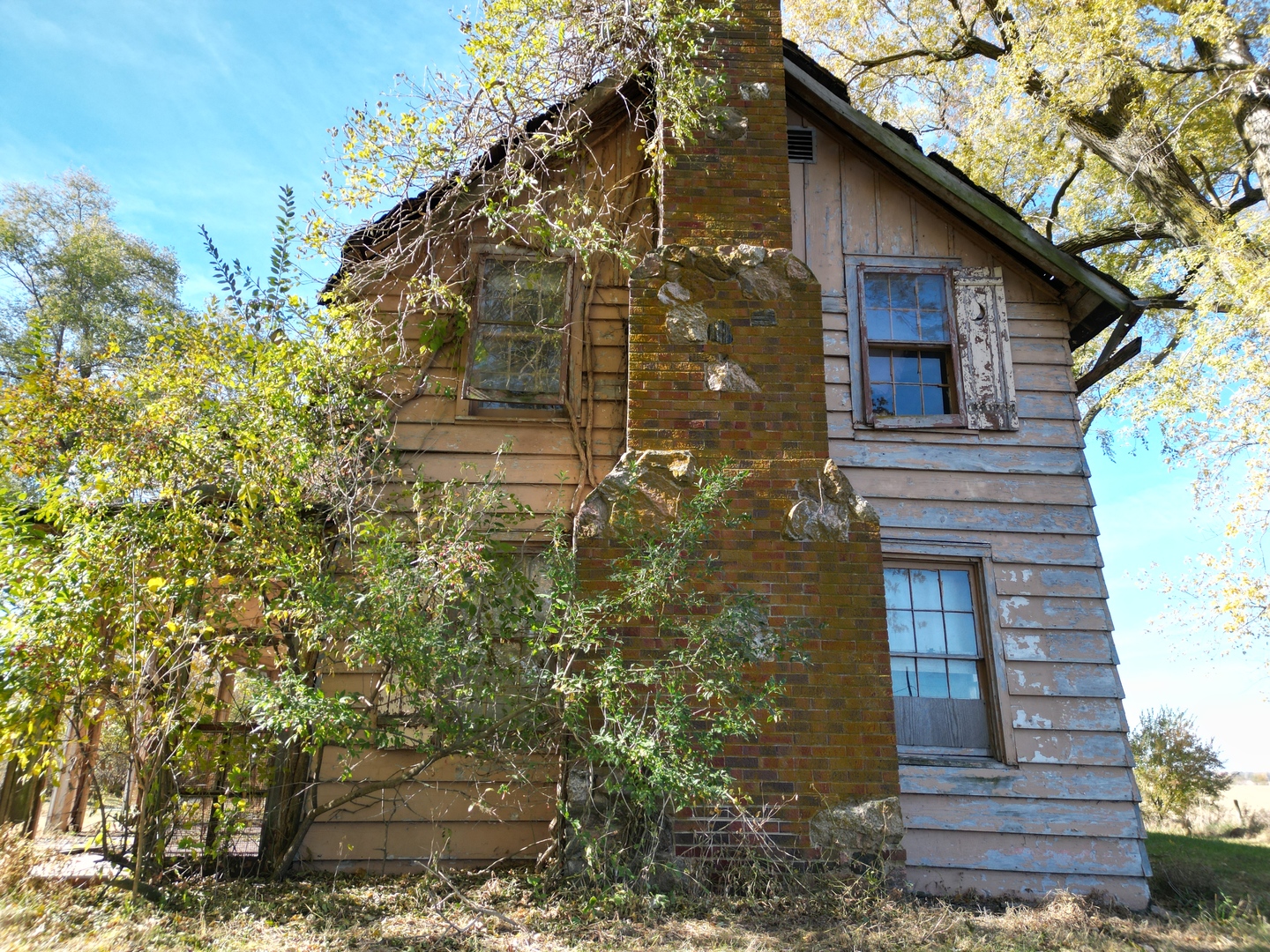 12662839 Property Photo 6