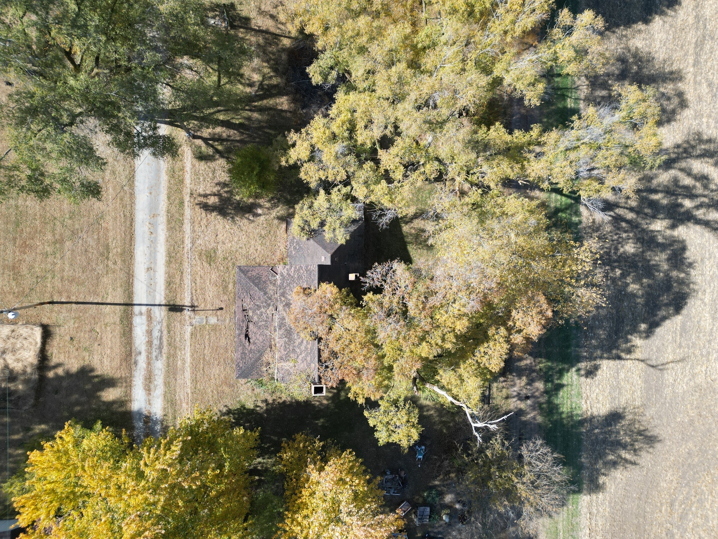 12662839 Property Photo 9