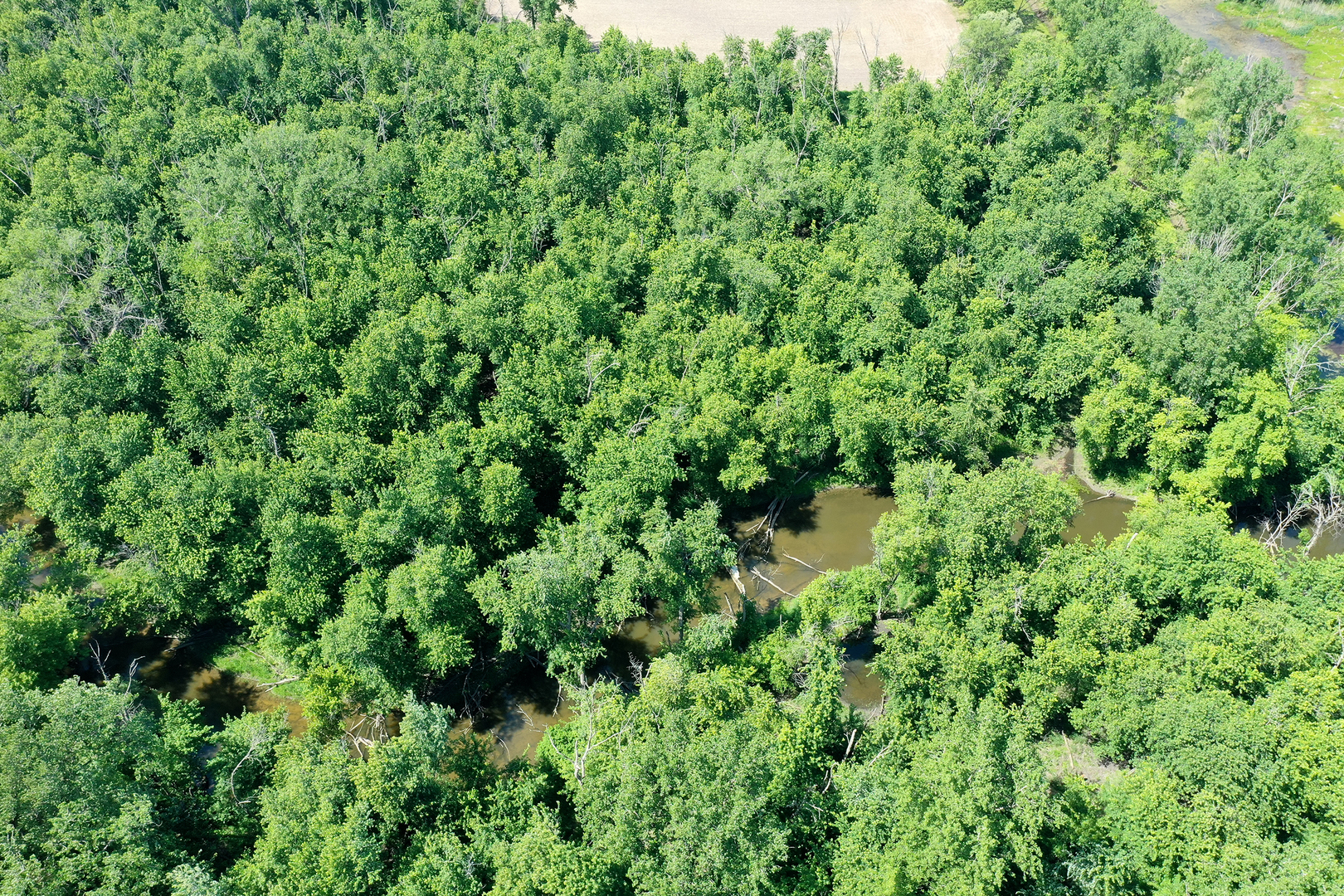3159 N State Route 1 Property Photo 10