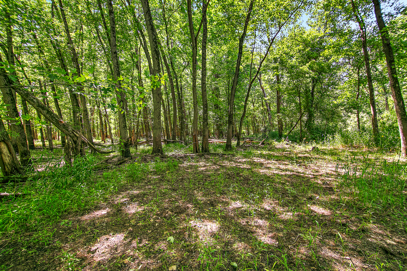 3159 N State Route 1 Property Photo 20