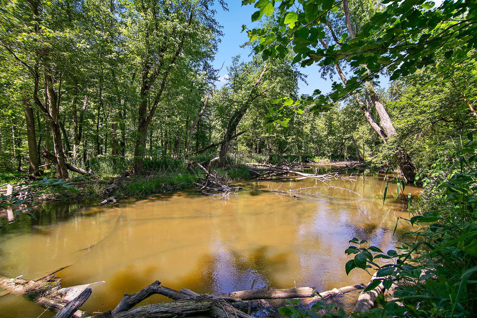 3159 N State Route 1 Property Photo 21