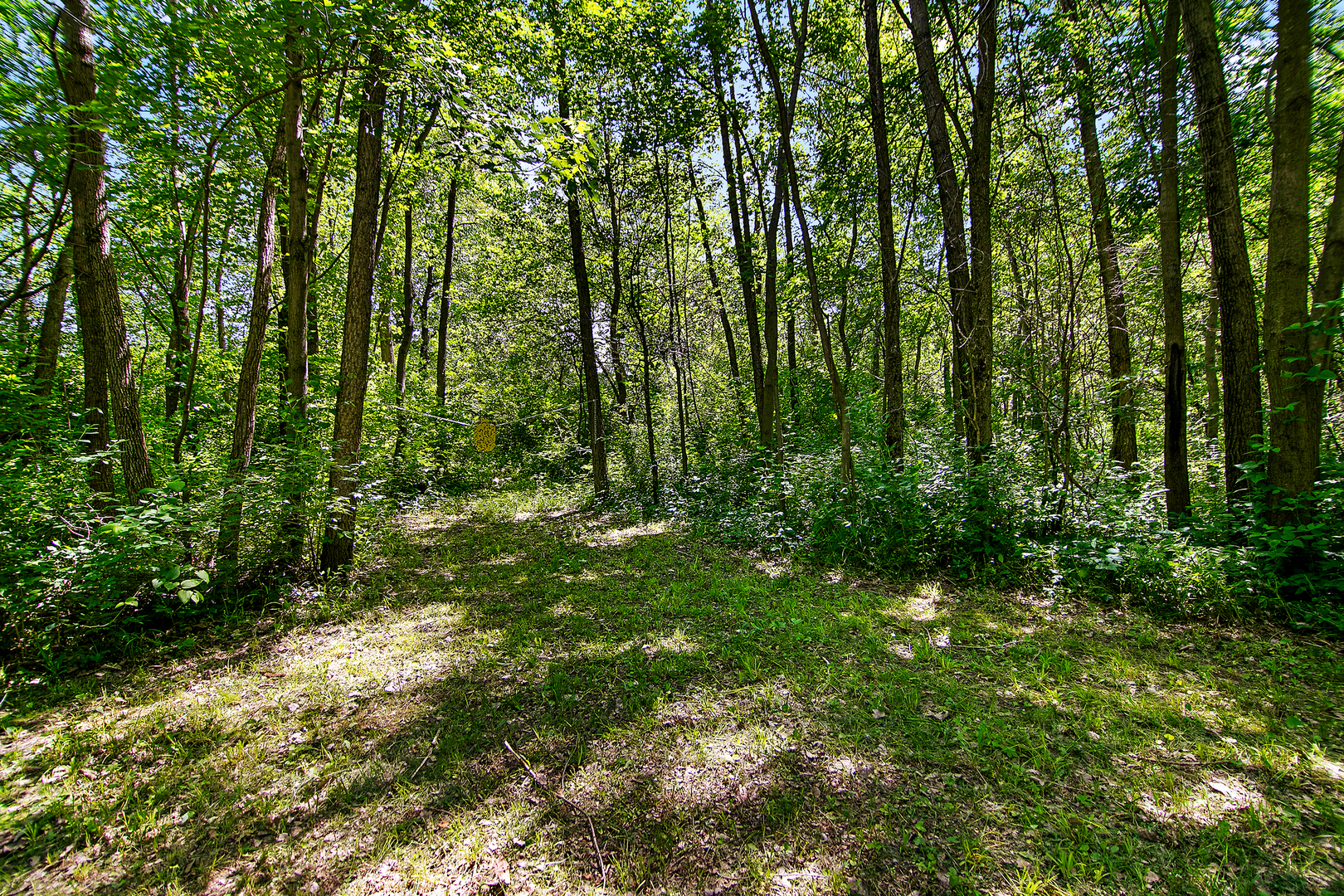 3159 N State Route 1 Property Photo 22