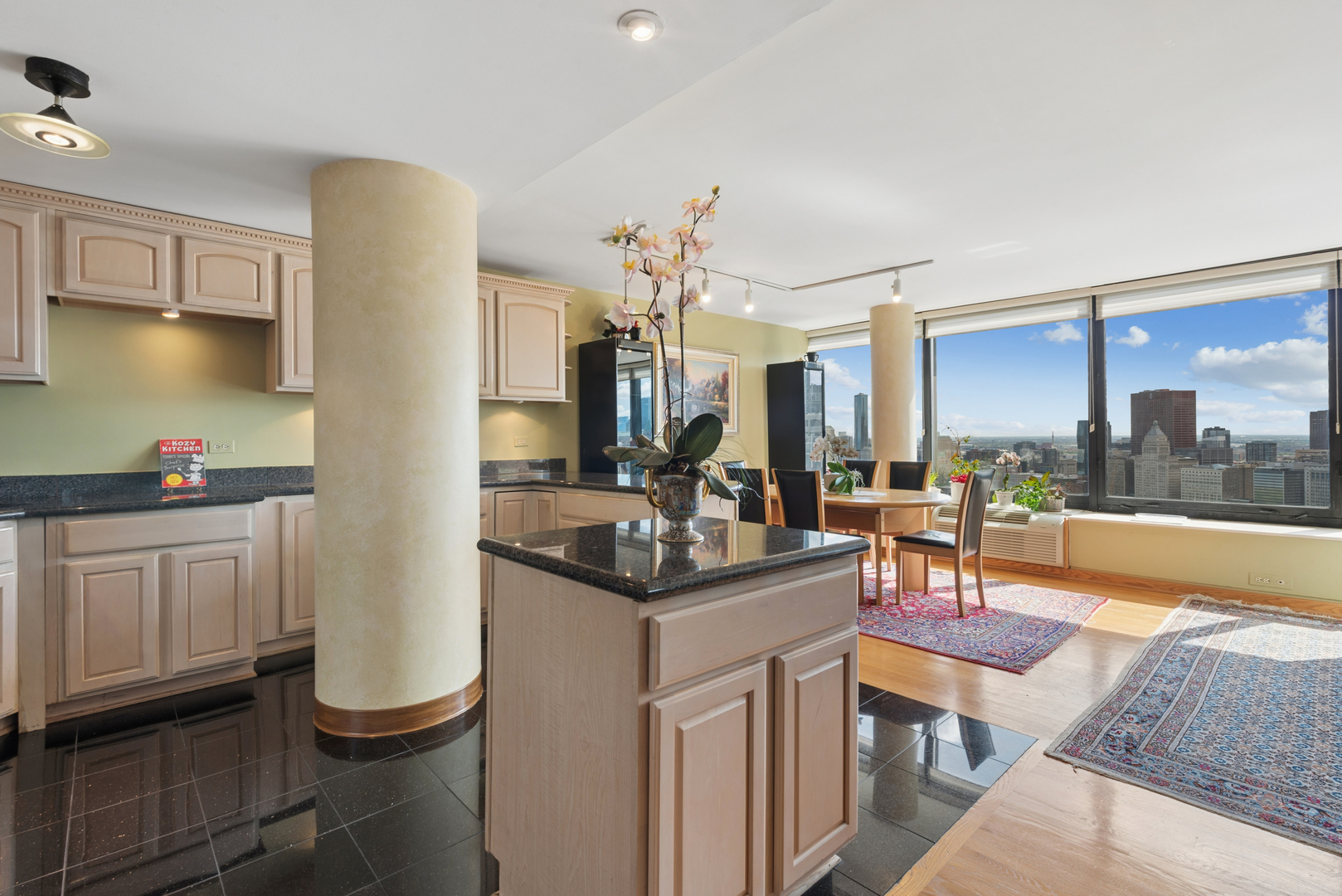 155 N Harbor Drive 4101-4102 Property Photo 8