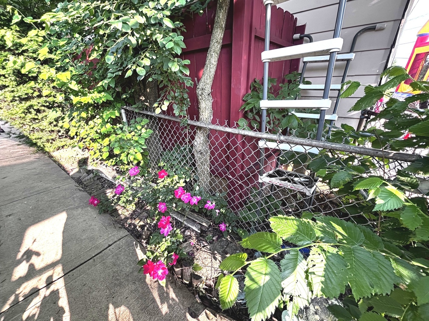 814 Norfolk Avenue Property Photo 32