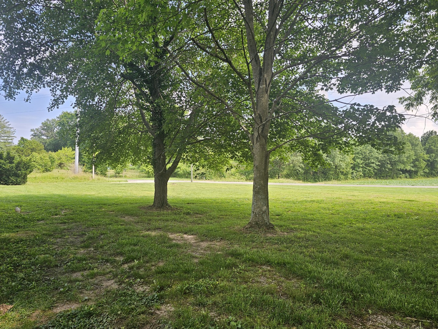 14541 N Morton Lane Property Photo 9