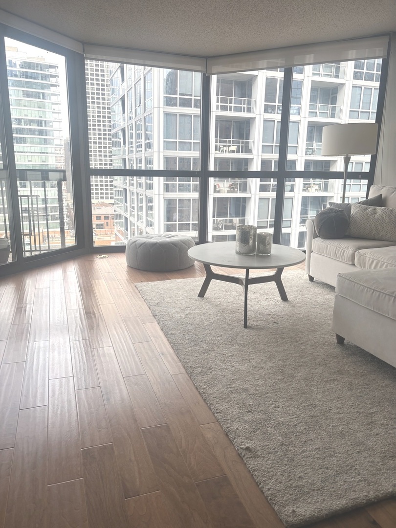 33 W Delaware Place 15d Property Photo 4