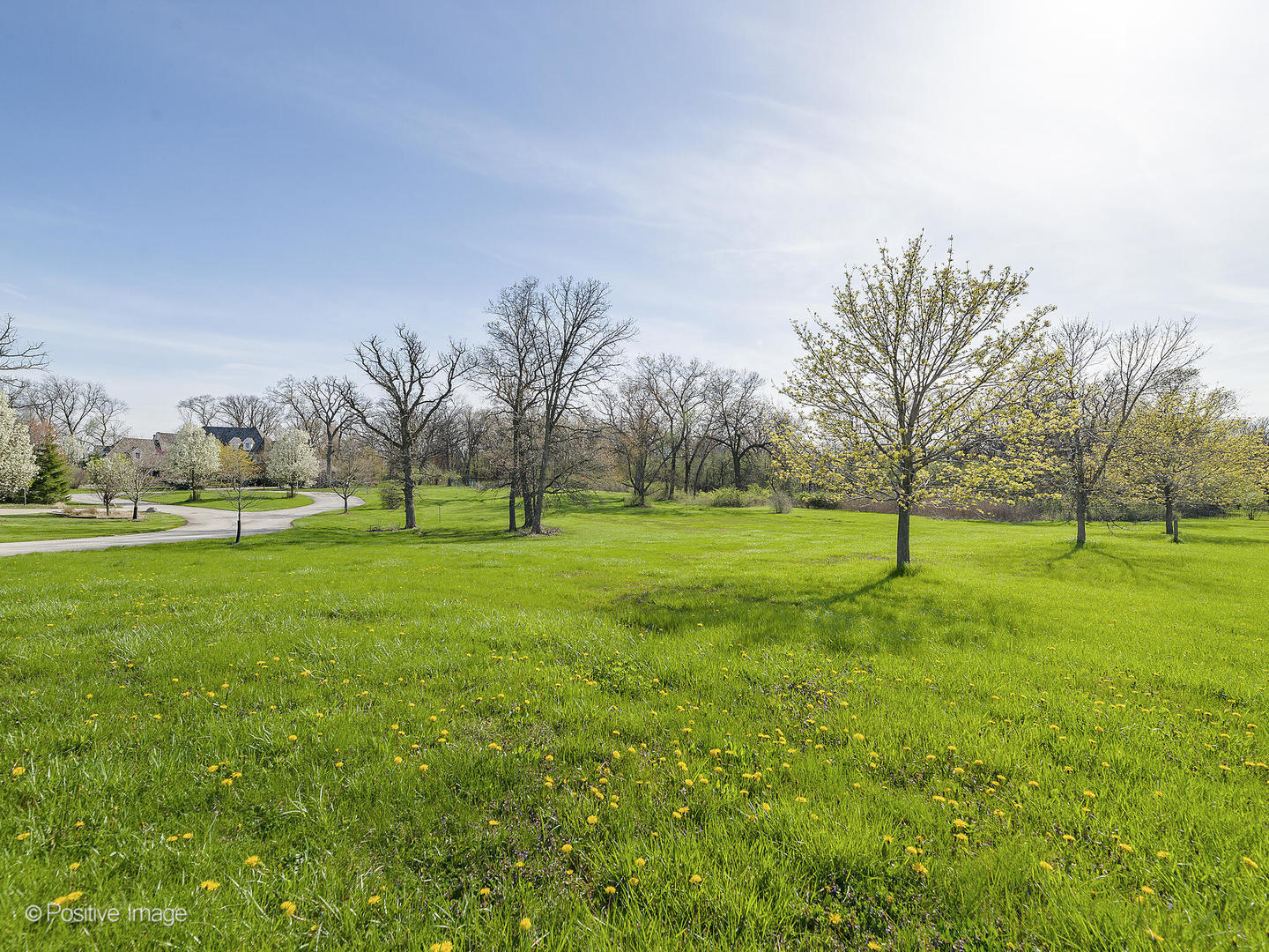 215 Oak Brook Road Property Photo 1
