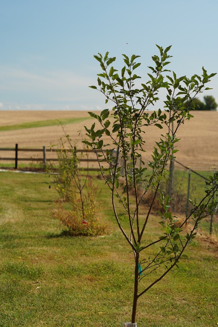 22524 Luther Road Property Photo 59