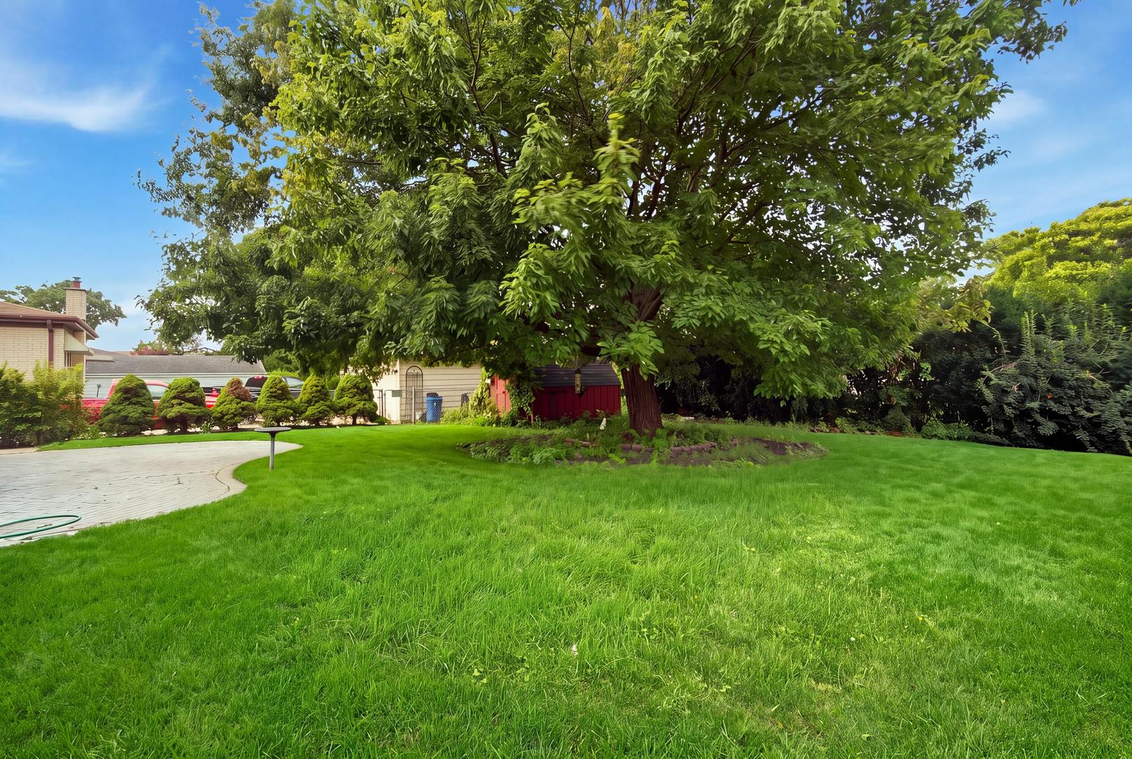 2238 Elmira Avenue Property Photo 5