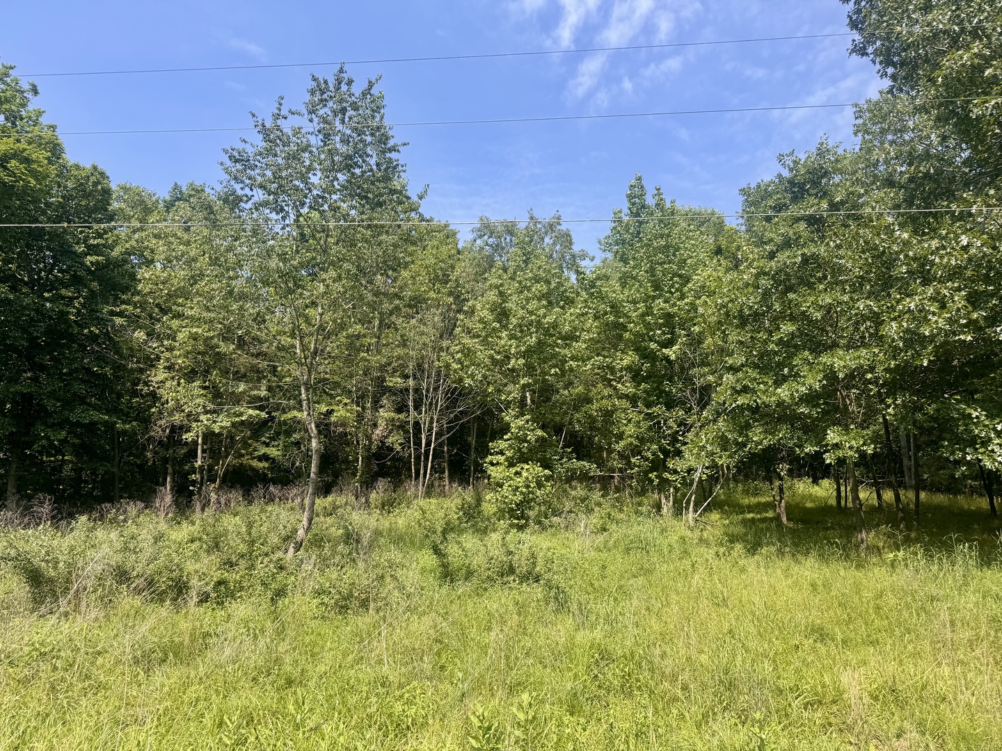 000 Shawnee Drive Property Photo 1