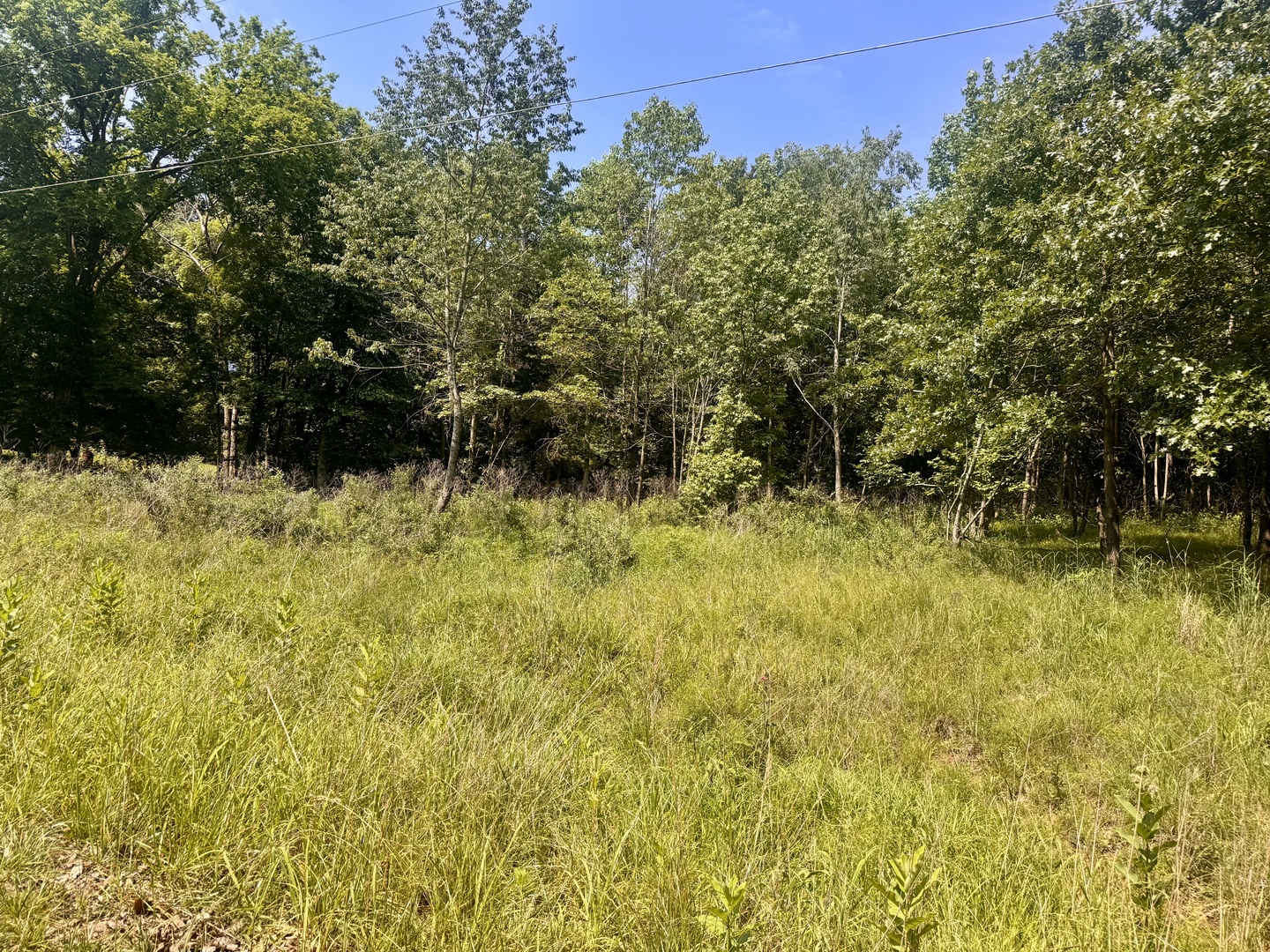 000 Shawnee Drive Property Photo 2