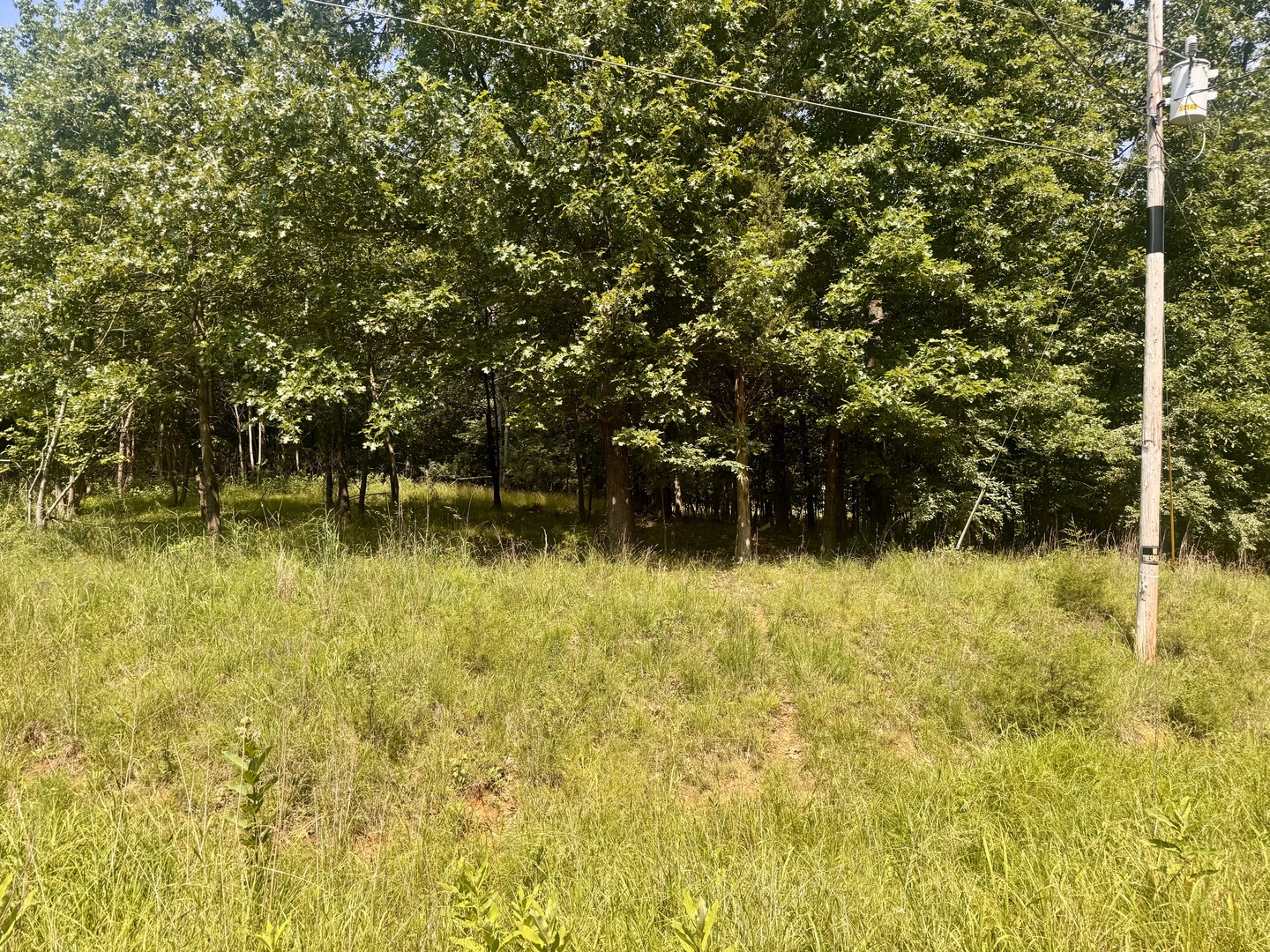 000 Shawnee Drive Property Photo 3