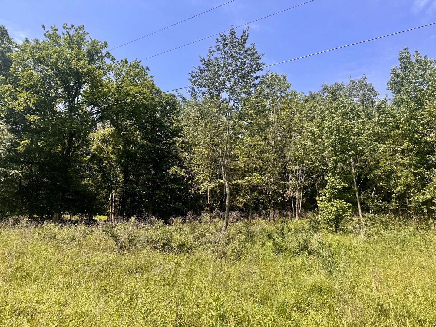 000 Shawnee Drive Property Photo 4