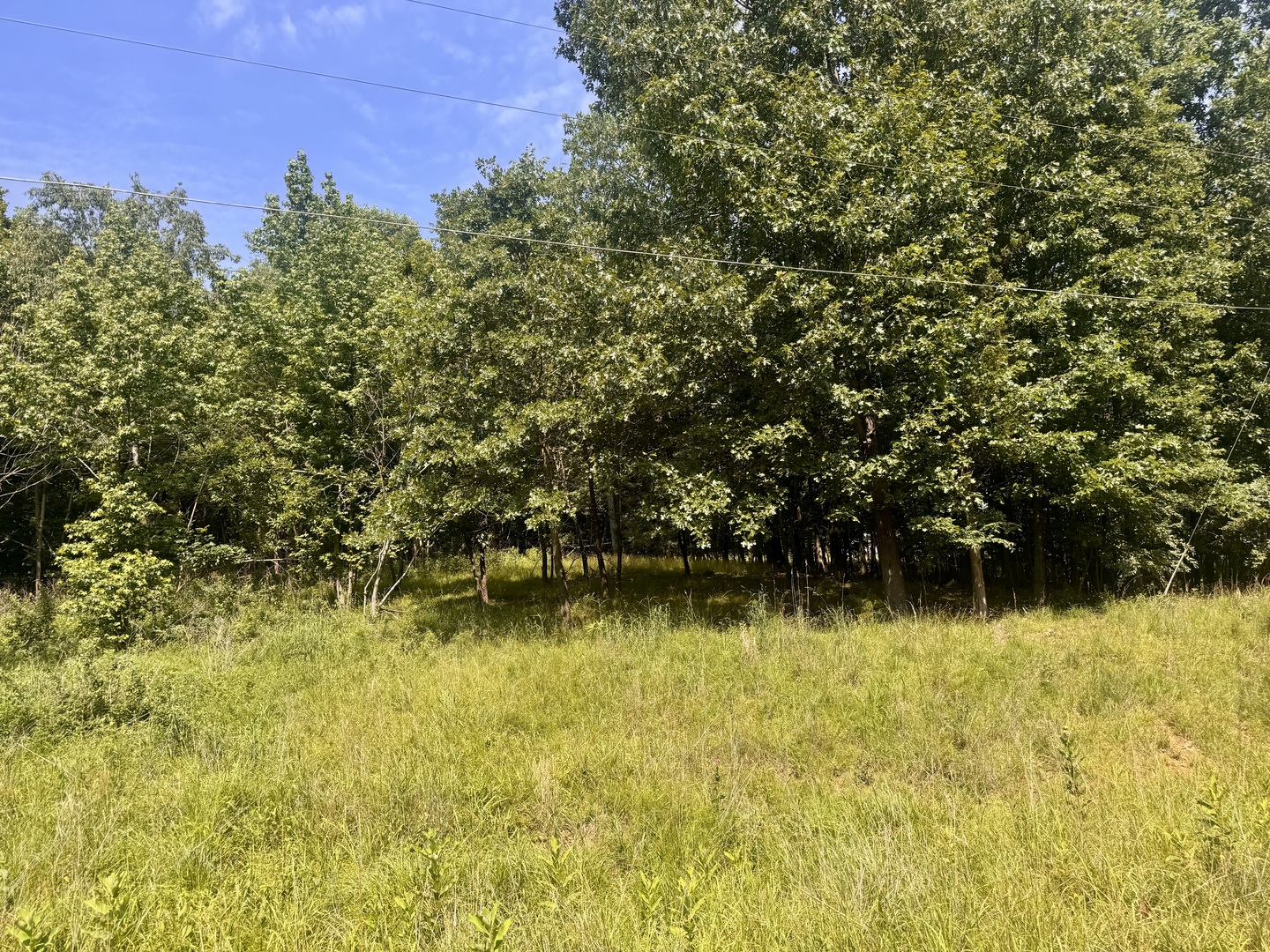 000 Shawnee Drive Property Photo 5