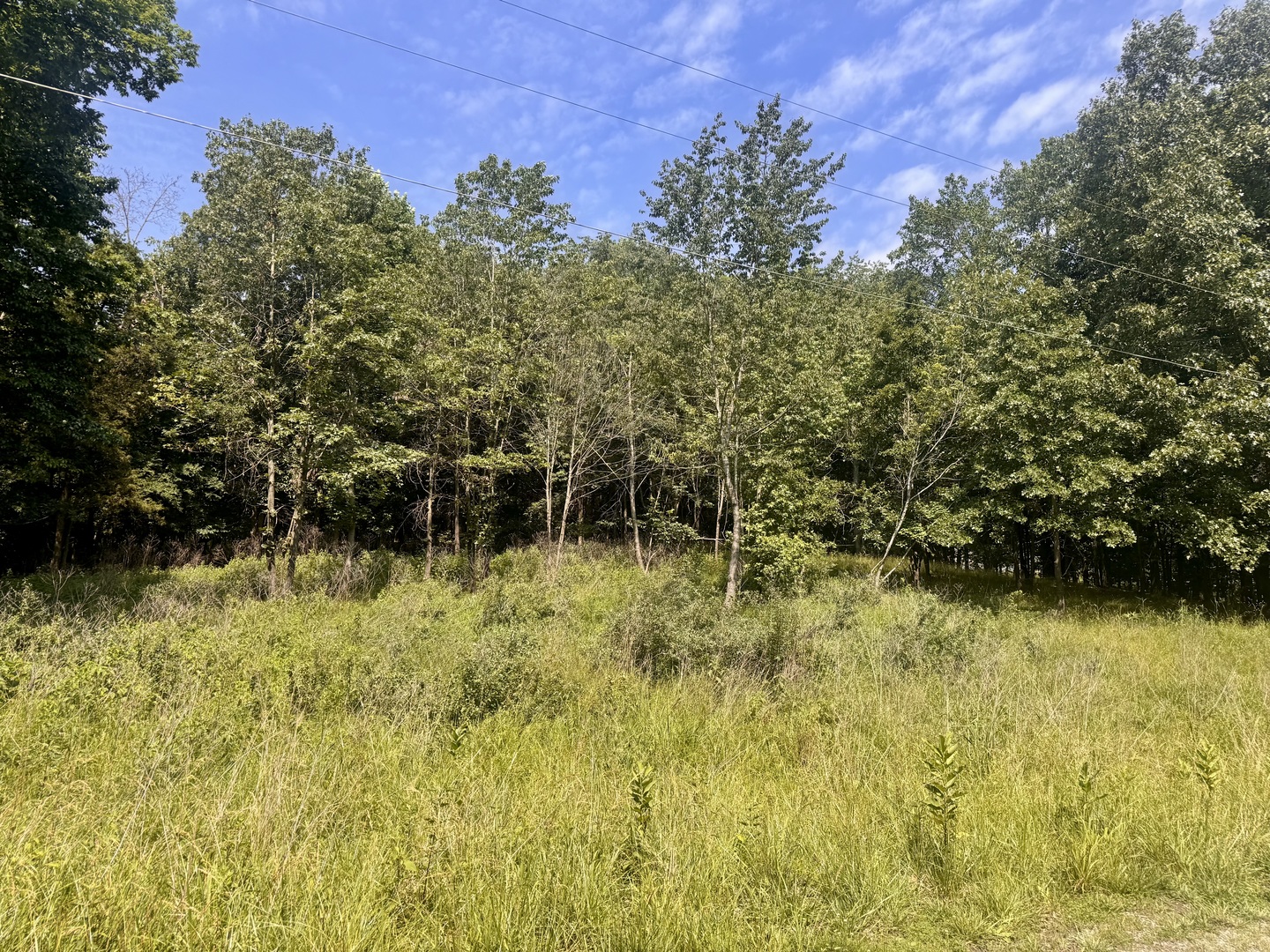 000 Shawnee Drive Property Photo 6