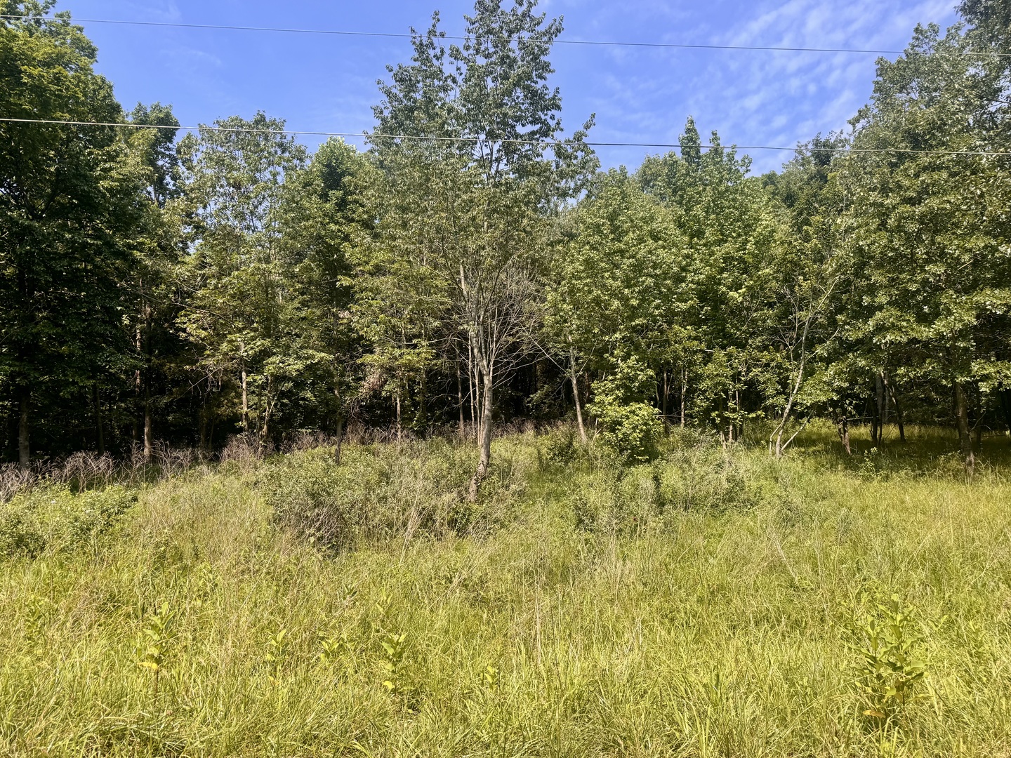 000 Shawnee Drive Property Photo 9