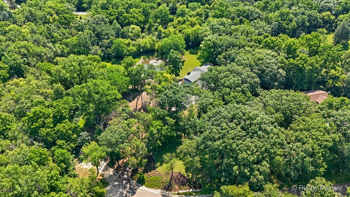9908 Hillandale Road Property Photo 42