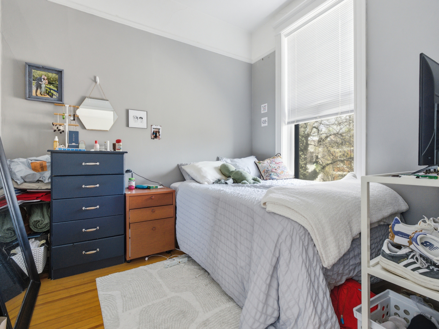 12664568 Property Photo 13