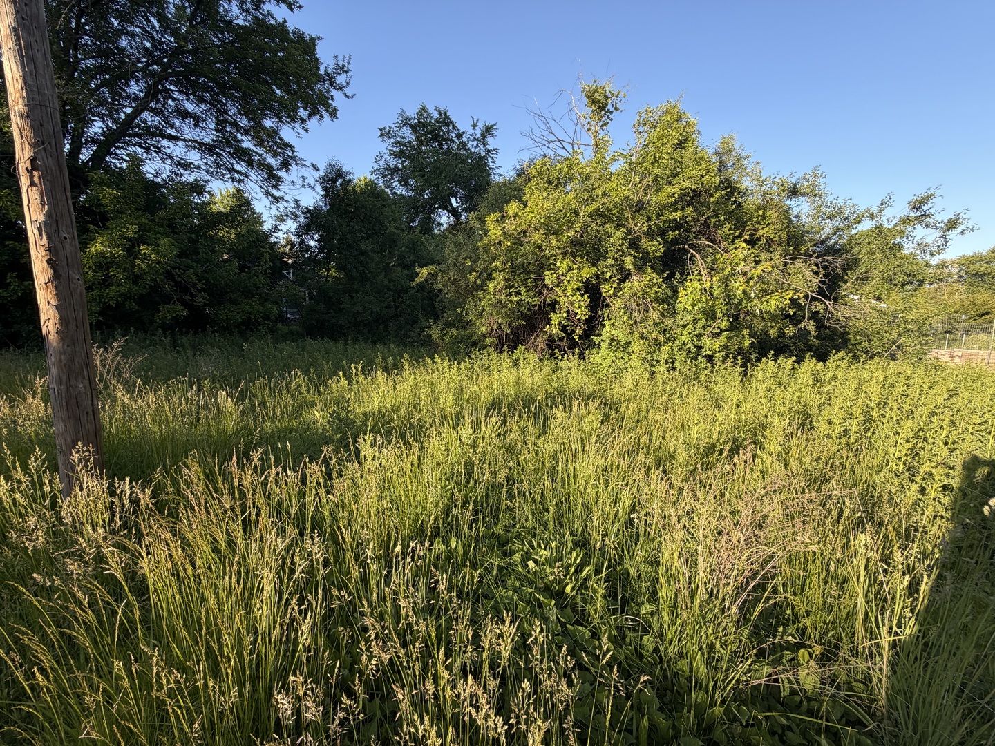 911 Safford Avenue Property Photo 3