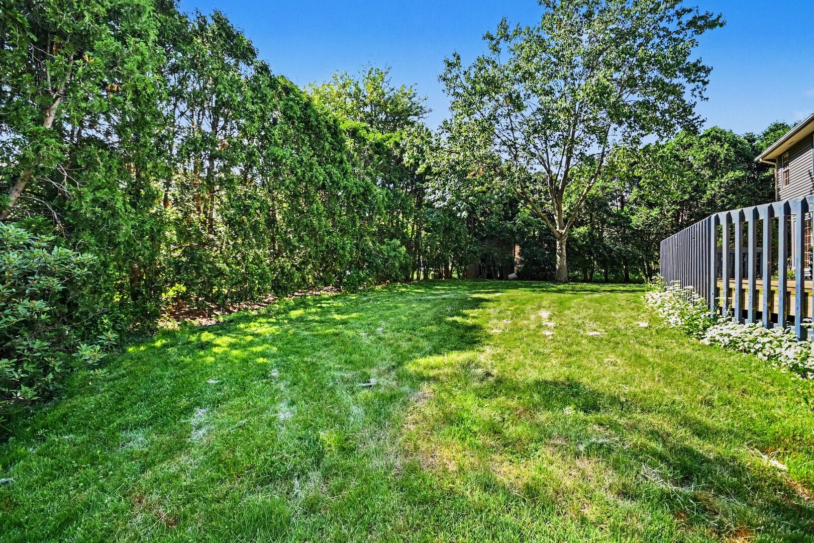 7221 Webster Street Property Photo 46