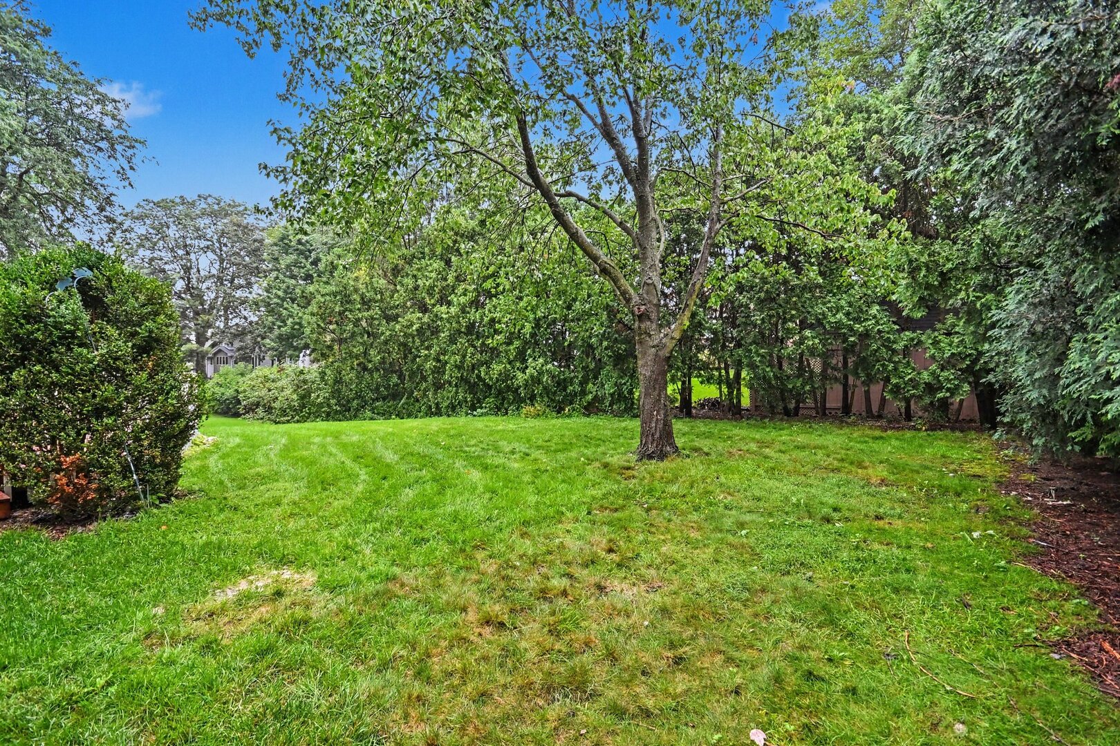 7221 Webster Street Property Photo 47