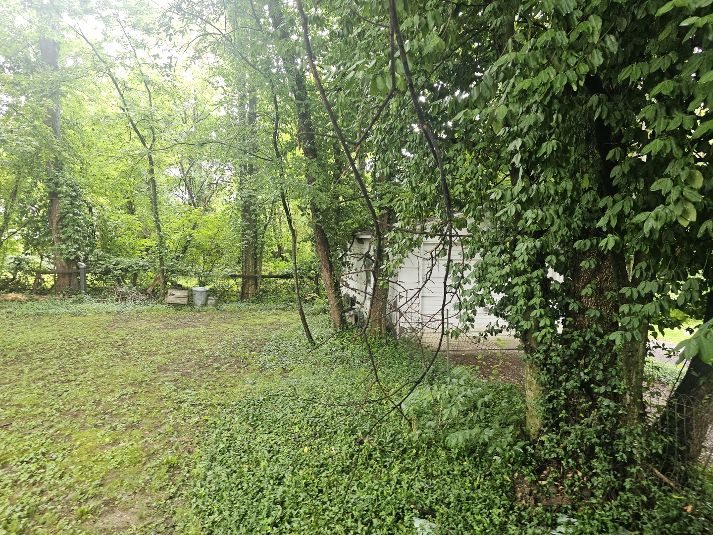 2207 Casey Avenue Property Photo 4