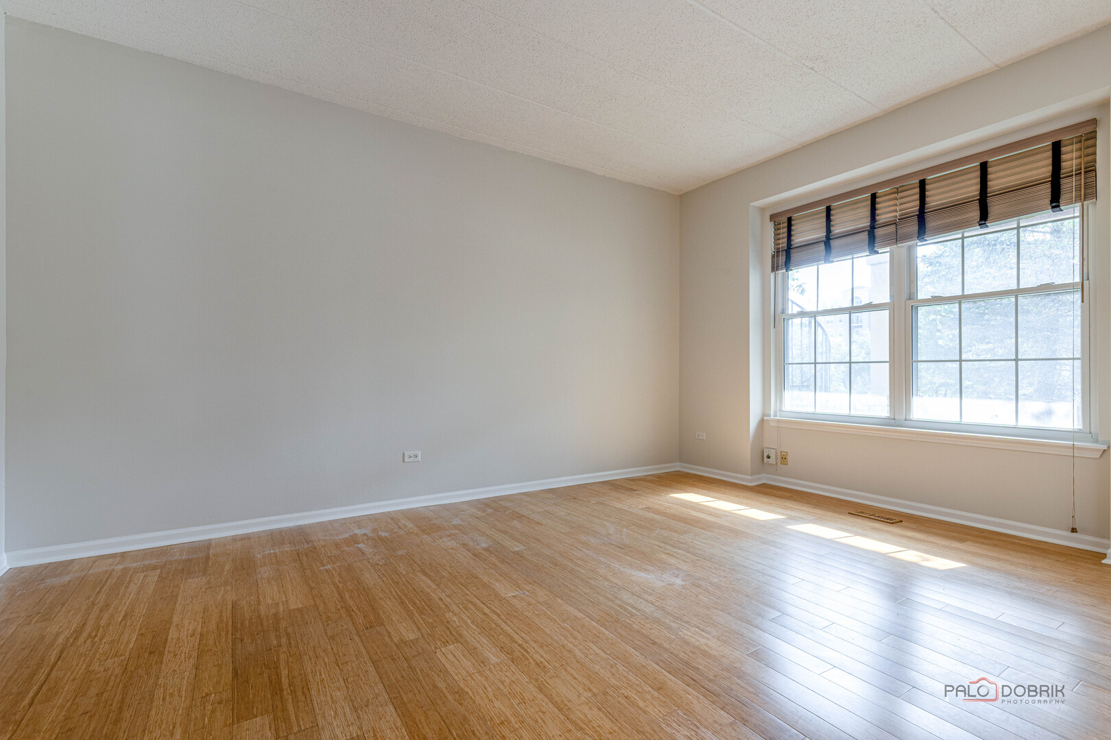 598 Harvey Lake Drive Property Photo 10