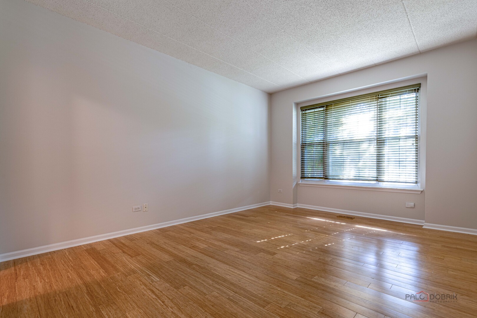 598 Harvey Lake Drive Property Photo 12